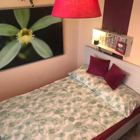 Apartment Balaton Soul House