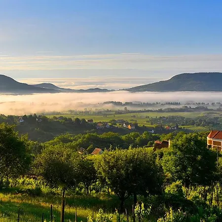Balaton Soul House Διαμέρισμα Vonyarcvashegy